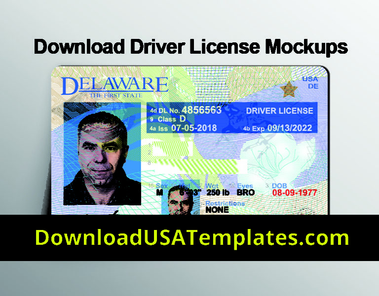 Download Drivers License Mockup