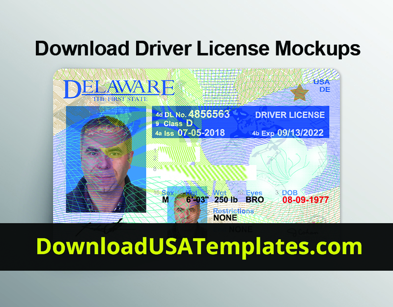 Download Drivers License Mockup