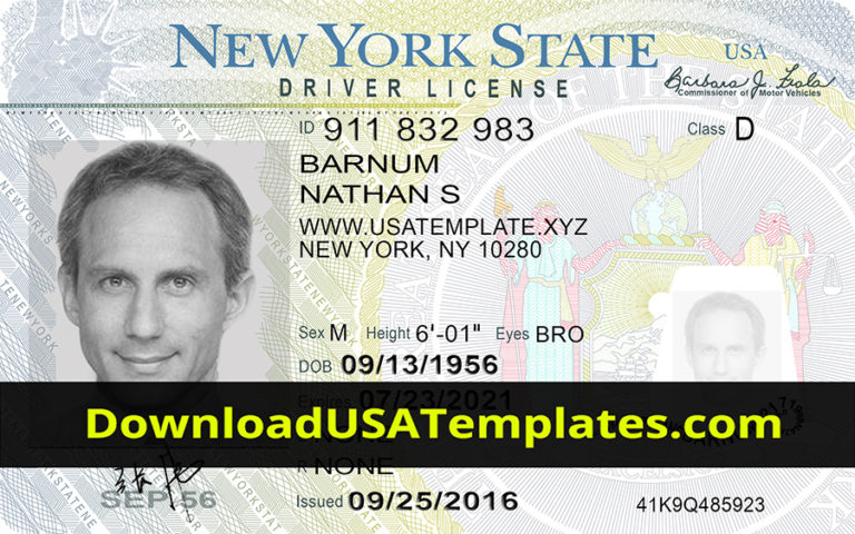 New York Driving License PSD File