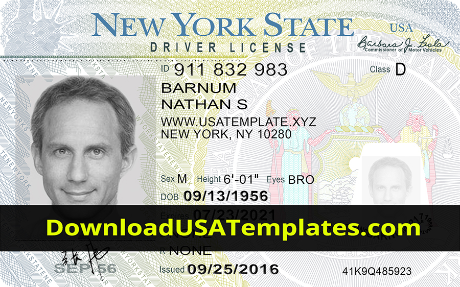 New York Driving License PSD File